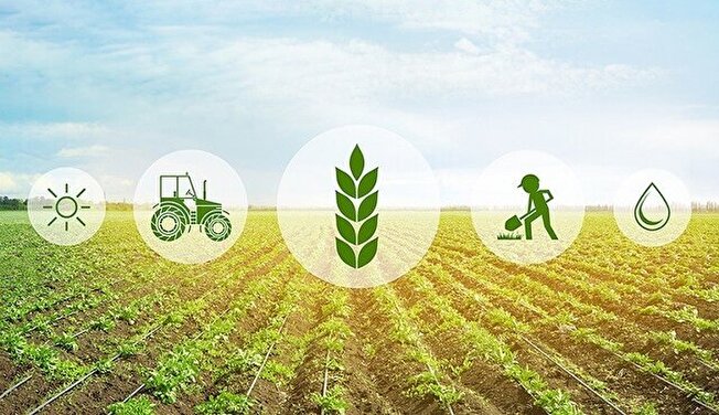 پذیرش ۱۰ ایده برتر در رویداد کشاورزی دانش‌بنیان دانشگاه شهید چمران اهواز
