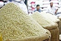 تمهیدات دولت برای بازار برنج گیلان