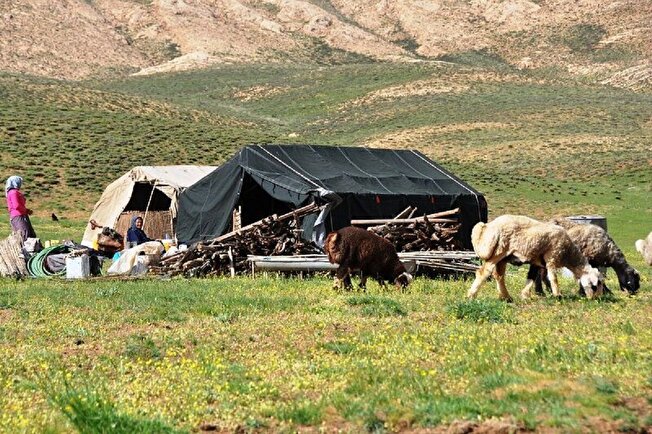 اخذ سهمیه ورود به دانشگاه فرهنگیان برای ۲ هزار دانش آموز عشایر