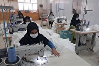 کارآفرینی یک فارغ التحصیل دانشگاهی؛ روایت بانویی که خانه خود را به شرکت تعاونی تبدیل کرد