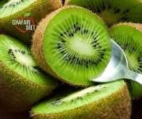 هشدار کاهش ۵۰ درصدی تولید کیوی در تنکابن