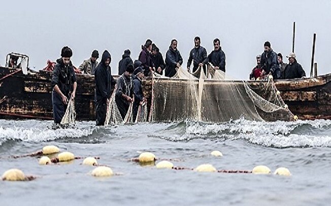 ۳۰۰ صیاد گیلانی بیش از ۲ هزار تن کیلکا صید کردند