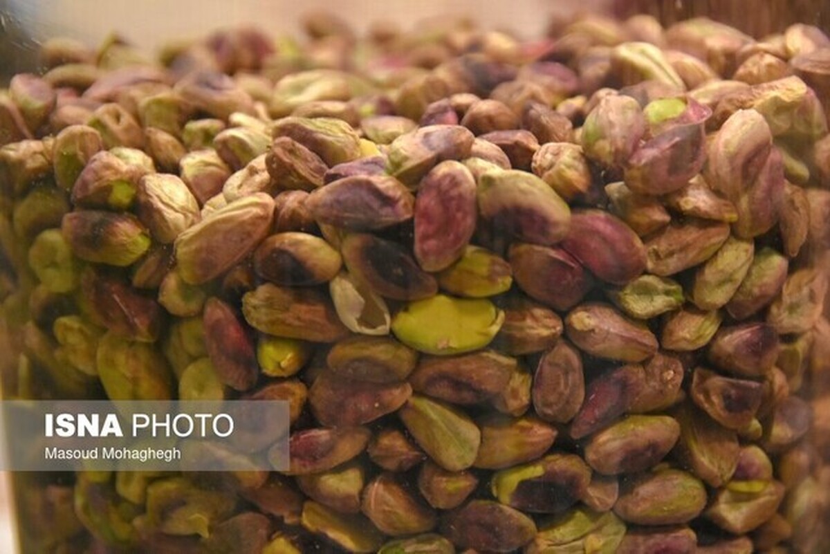 رئیس سازمان جهاد کشاورزی استان مطرح کرد
پسته و زعفران؛ با بیشترین ارزآوری در کشاورزی خراسان رضوی