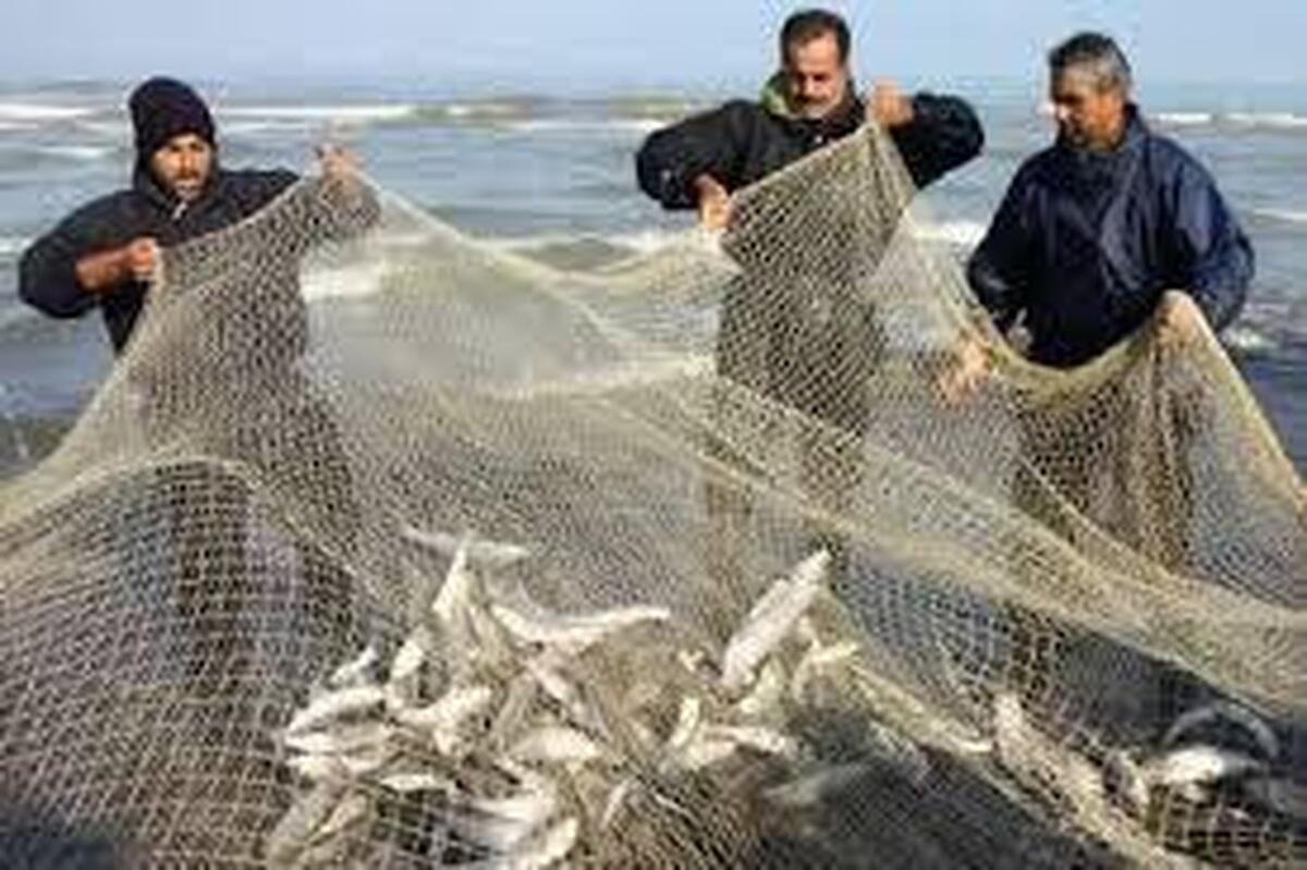 صیادی همراه با گردشگری منجر به افزایش اشتغال گیلان می شود