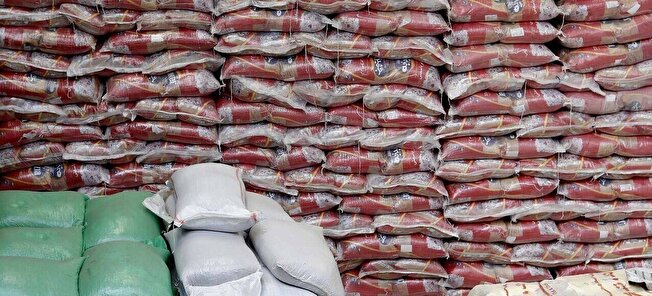 توزیع ۱۵۳۰ تن برنج تنظیم بازاری در آذربایجان شرقی