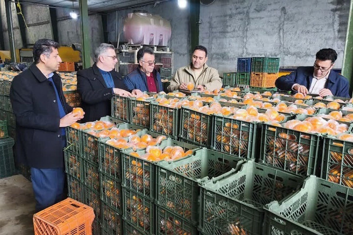 ذخیره ۴۰۰ تن میوه شب عید در آذربایجان غربی