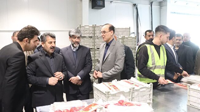 صیانت و حفظ اشتغال 400 نفر نیروی کار