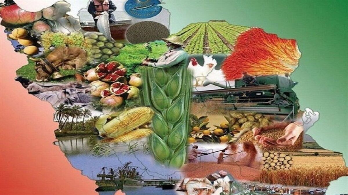 نوروز؛ آیینی که به جامعه یادآوری می&zwnj;کند زندگی متوقف نمی&zwnj;شود&nbsp;