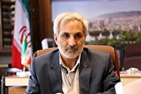 امنیت شغلی فعالان خانگی در گرو ثبات سیاست‌های دولتی است