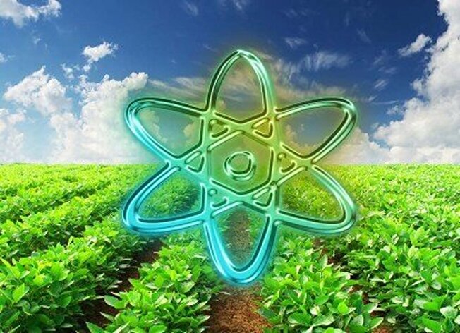 البرز میتواند پایلوت تحقیقات کشاورزی هستهای کشور باشد