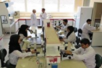 جزئیات جذب پژوهشگر دورههای پسادکتری علوم پزشکی تهران جزئیات جذب پژوهشگر دورههای پسادکتری علوم پزشکی تهران