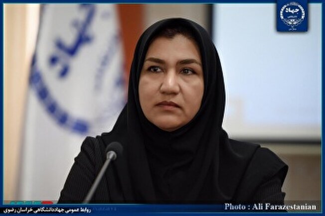 ایجاد ۲۳ هزار نفر ساعت اشتغال دانشجویی توسط ایسپا در خراسان رضوی