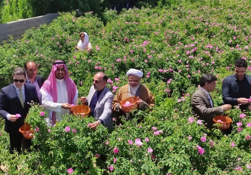 ثبت جشنواره گل محمدی فرخد در تقویم رویدادهای گردشگری