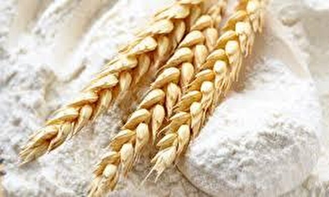 استخدام در شرکت آرد مروارید هرمزگان