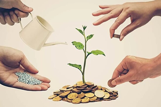 ضرورت تاسیس تعاونی‌های آموزش دیجیتال در کشور