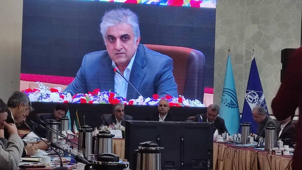 در نشستهای مقدماتی همایش ملی کار چه گذشت؟