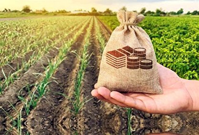 تمرکز بنیاد علوی به اشتغال آفرینی در روستا‌ها