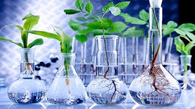 نمایش دستاوردهای دانش بنیان کشاورزی ایران در البرز