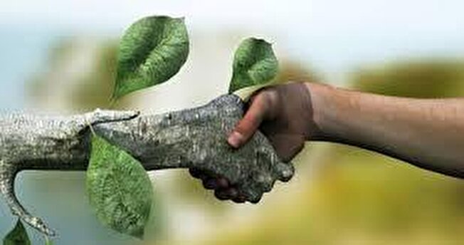 ۵۰ درصد ردیف‌های پستی سازمان حفاظت محیط زیست خالی است