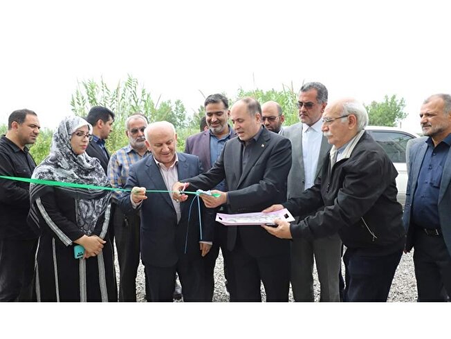 گلخانه‌ها؛ محور توسعه کشاورزی آینده