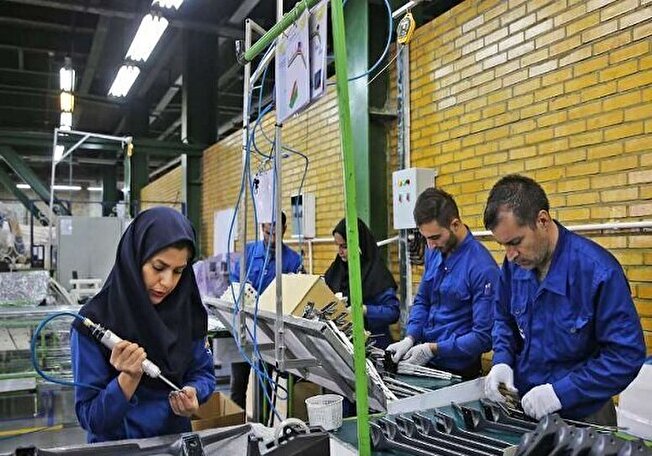 ضرورت گسترش کسب و کار تعاونیها در «سال جهانی تعاون»