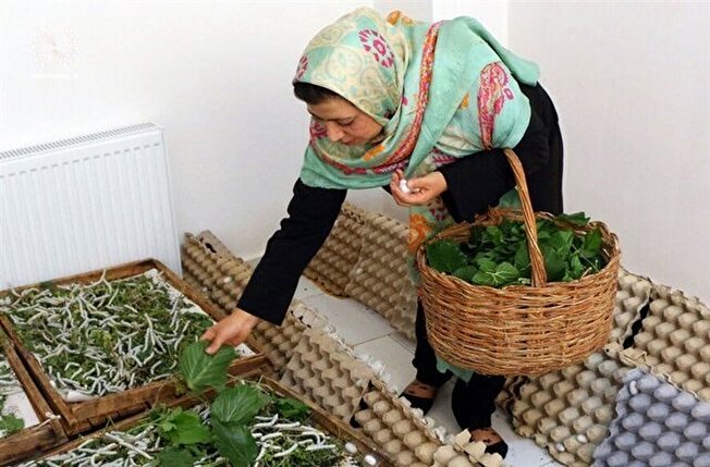 چرا مشاغل خرد فرصتهای شغلی بیشتری ایجاد میکنند؟