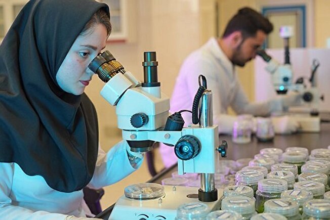 چرا پژوهش های دانشگاهی به تجاری سازی منجر نمی شوند