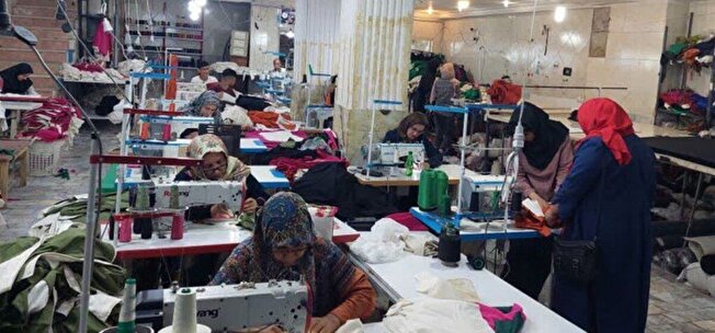 ۲۲۶ نیازمند در استان البرز جذب بازار کار شدند