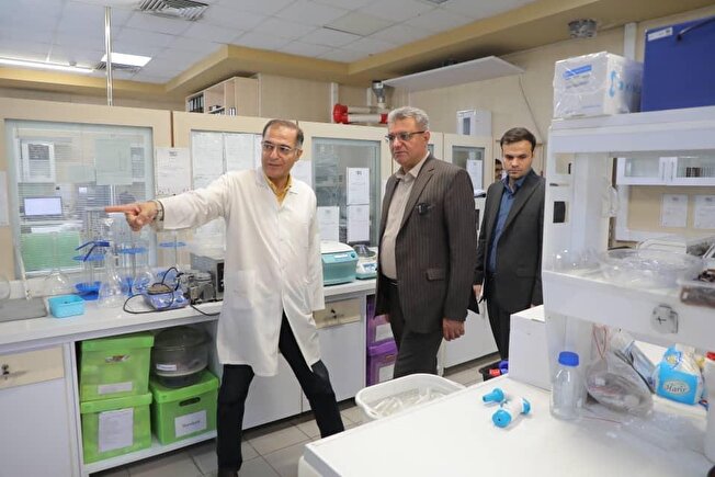 بازدید از ۳ شرکت‌ تعاونی تولیدی استان تهران در هفته تعاون/ تعاونی‌های تولیدی؛ موتور محرک اقتصاد مردمی