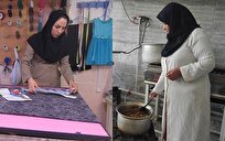 نقش موثر تسهیلات بند الف تبصره ۱۸ قانون بودجه در رونق کارآفرینی گیلان