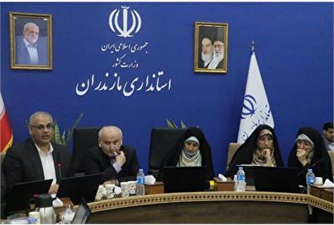 توسعه ظرفیت های اشتغال زا با آغاز پرداخت تسهیلات خرد/ جهت گیری بودجه سال جاری پرداخت تسهیلاتی ویژه حمایتی از مشاغل خُرد خانگی است