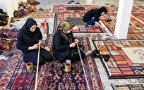 افزایش فعالیت برای مشاوره اشتغال و کاریابی زنان مناطق کم برخودار در گیلان افزایش فعالیت برای مشاوره اشتغال و کاریابی زنان مناطق کم برخودار در گیلان