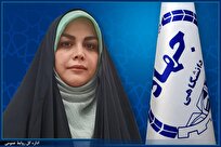 مدیر کل راهبری امور فرهنگی جهاددانشگاهی منصوب شد
