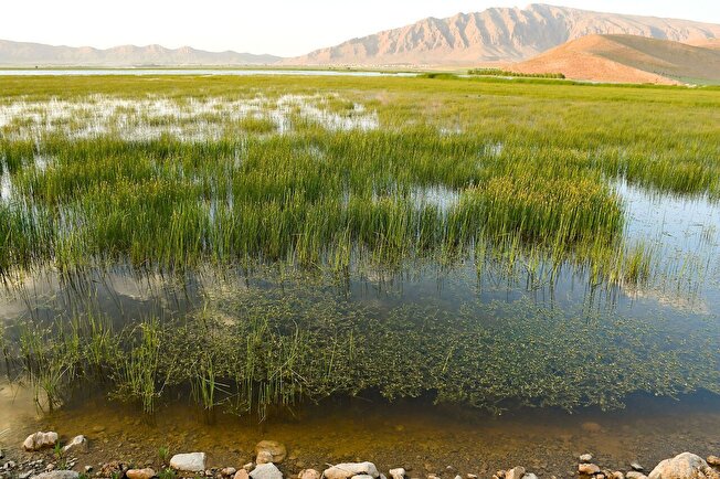 بیشه دالان ظرفیتی برای توسعه گردشگری محیط زیستی