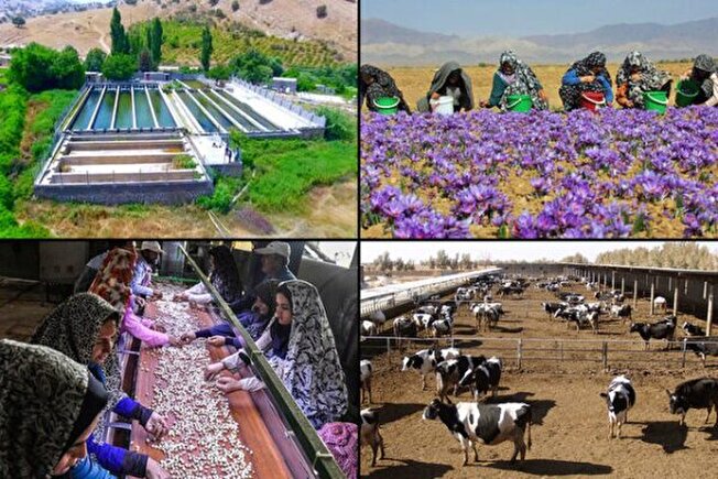 در تابستان۱۴۰۴؛ کاهش نرخ بیکاری جوانان و رشد اشتغال خدماتی