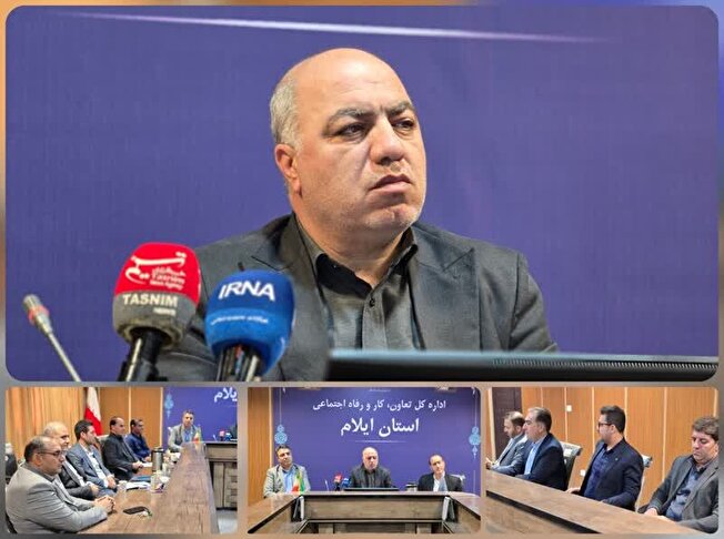 ۶۵ درصد تعاونی‌های استان ایلام فعال‌اند