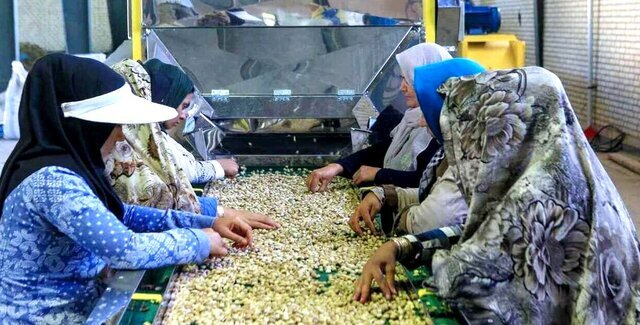 تسهیلات هدفمند مسیر اشتغال و کارآفرینی در روستاها را هموار می‌کند