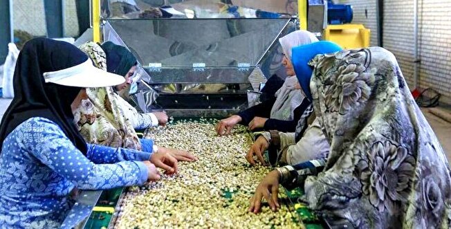 تسهیلات هدفمند مسیر اشتغال و کارآفرینی در روستاها را هموار می‌کند