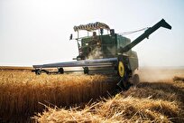 ایجاد ۱۵۰۰ فرصت شغلی در بخش کشاورزی قزوین