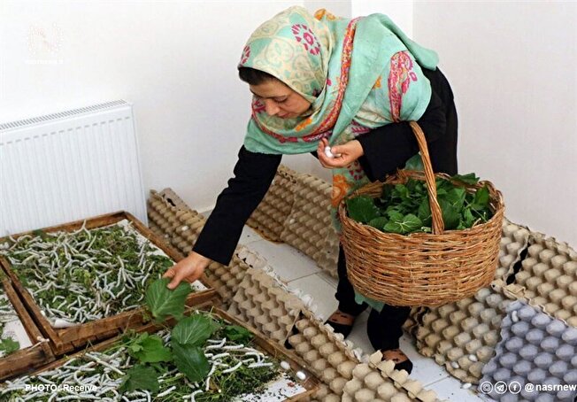 مشاغل خانگی؛ کلید ایجاد اشتغال پایدار و توانمندسازی اقتصادی