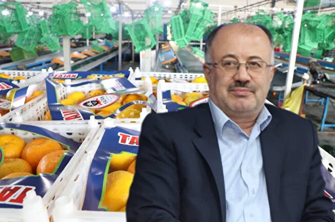 صادرات بیش از ۱۳ هزار تُن مرکبات مازندران به بازار‌های جهانی