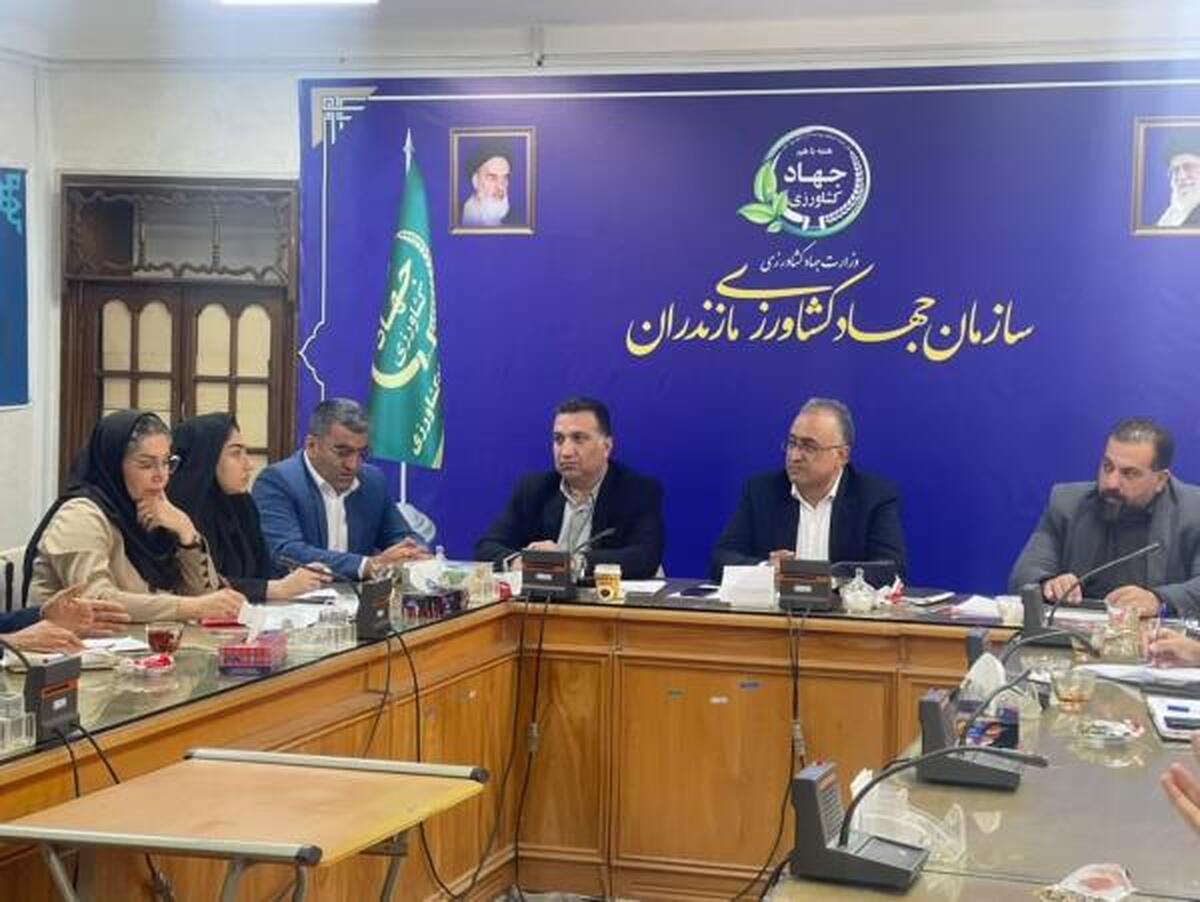 ۱۰۱ طرح پرواربندی دام در مازندران؛ گامی بلند در حمایت و توسعه تولیدات دامی