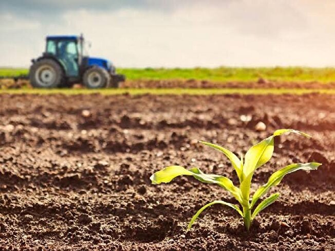 اصلاح الگوی کشت ضرورتی اجتناب ناپذیر