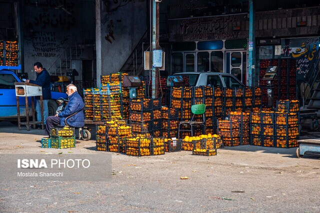 رؤیاهای رنگی در سایه چالشهای دیرینه باغداری مازندران رؤیاهای رنگی در سایه چالشهای دیرینه باغداری مازندران