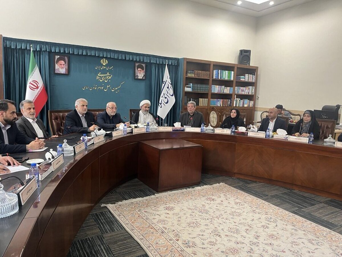  تشکیل کارگروه مشترک مجلس و بهزیستی برای قانون حمایت از حقوق افراد دارای معلولیت