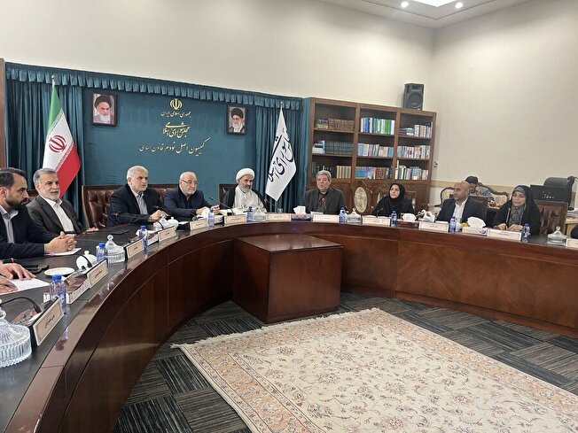  تشکیل کارگروه مشترک مجلس و بهزیستی برای قانون حمایت از حقوق افراد دارای معلولیت