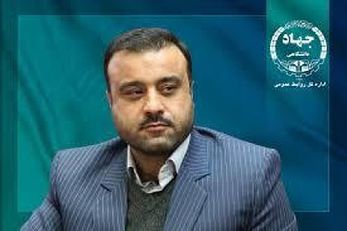 عضویت رییس پارک علم و فناوری البرز در کارگروه آموزش عالی استان البرز