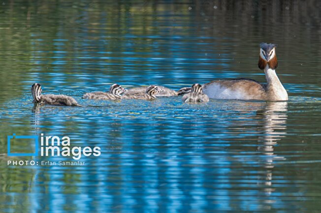 مدیرکل میراث فرهنگی خراسان رضوی: توسعه طبیعت‌گردی با قرقیزستان در دست پیگیری است