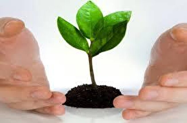 شرایط جدید خرید سابقه بیمه تأمین اجتماعی اعلام شد