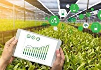 ایجاد رشته‌های مهارتی مرتبط با کشاورزی در کشور تقویت می‌شود